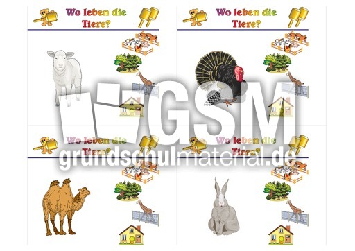 HC-Tiere leben B 09.pdf